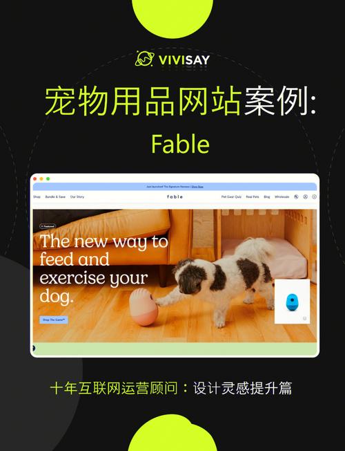 宠物用品网站设计精选:fable网站赏析